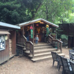 Big Sur Campground And Cabins Big Sur California