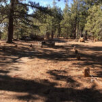 Campo Alto Campground Parks Management Company Get Outdoors