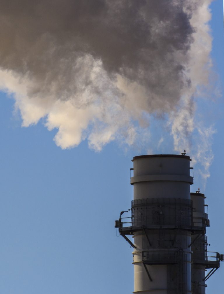 Confusion Lack Of Rebate Details Leave Businesses On Edge About Carbon 