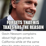 25 Best Memes About Gavin Newsom Gavin Newsom Memes