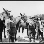 Gas Mask Drill For Artillery Horses The Soldiers Standing Flickr