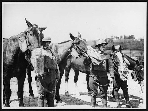 Gas Mask Drill For Artillery Horses The Soldiers Standing Flickr