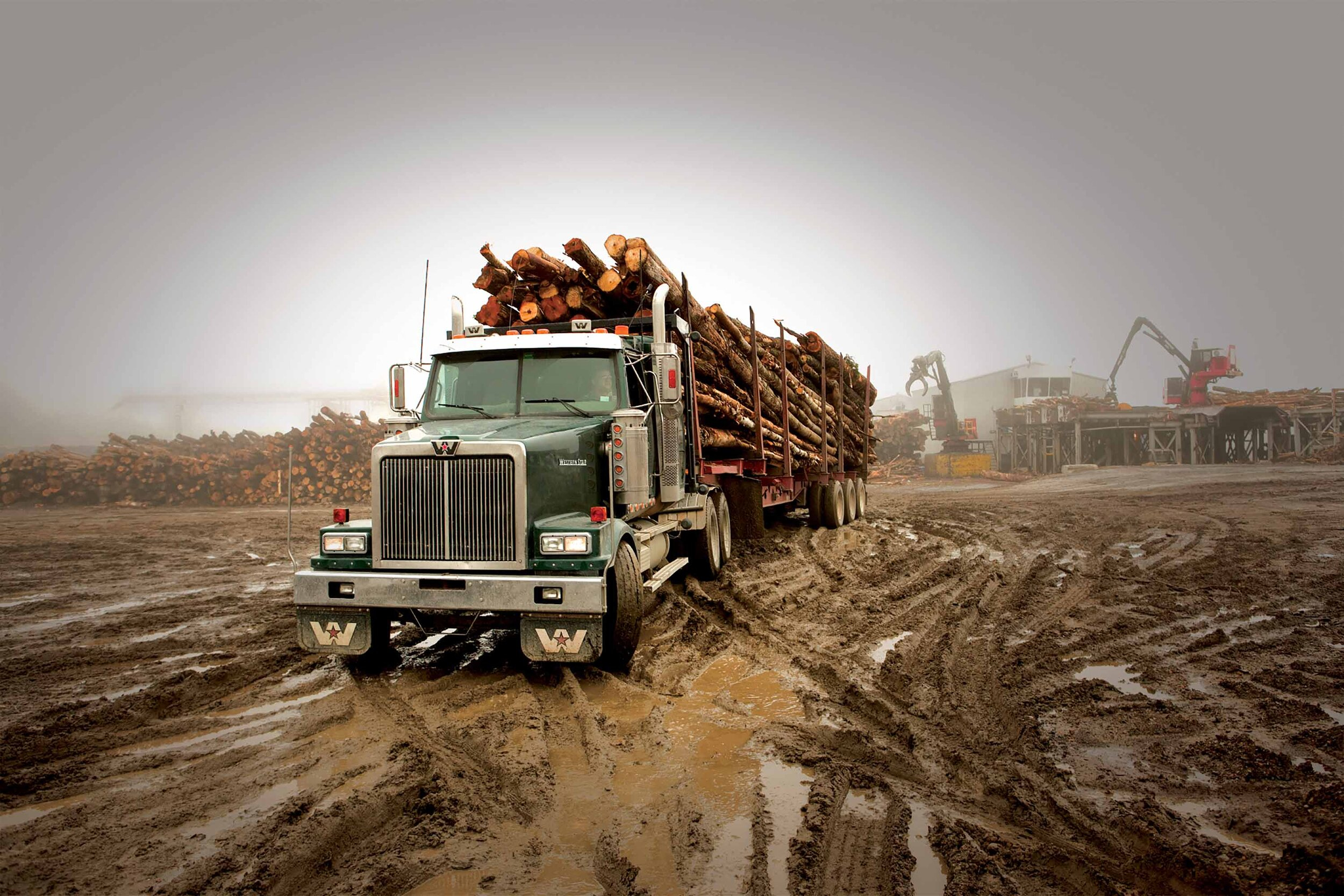 2020 Western Star Rebate For ALC Members American Loggers Council I 