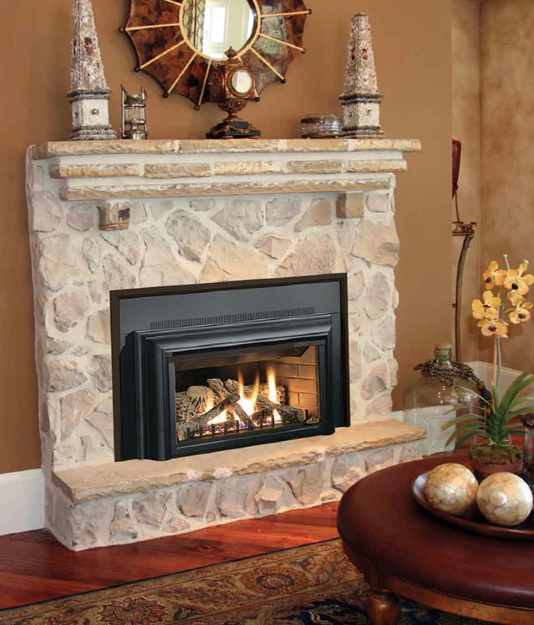 Convert Gas Fireplace To Wood Insert Home Design Ideas