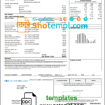 USA Illinois North Shore Gas Utility Bill Template In Word And PDF Format