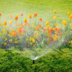 Utah Offers 50 Rebate For Automatic Sprinkler Installations Mia Online