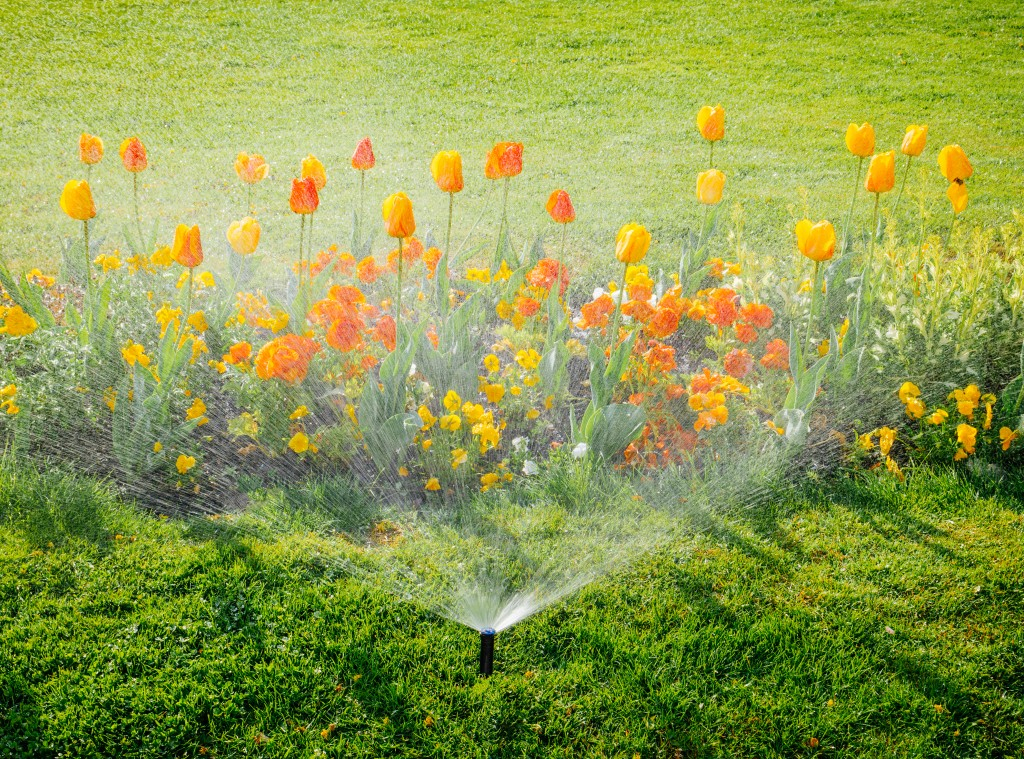 Utah Offers 50 Rebate For Automatic Sprinkler Installations Mia Online